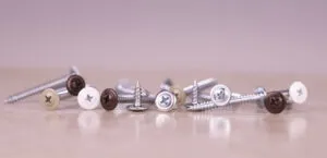 bg self piercing zinz painted modified truss sharp point screw