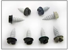 ceramic gutter screws