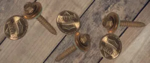 copper screws and pennies