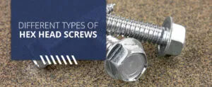 Different types of HEX head screws.