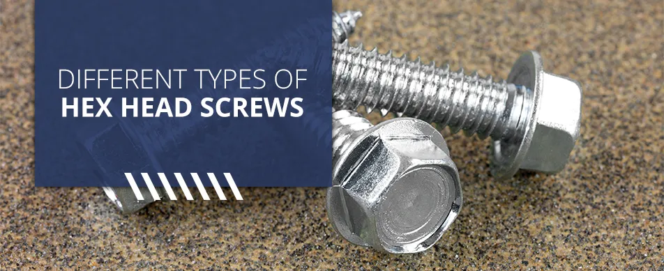 Different types of HEX head screws.