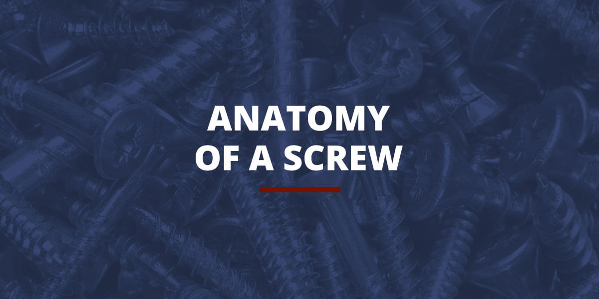 Anatomy of a screw