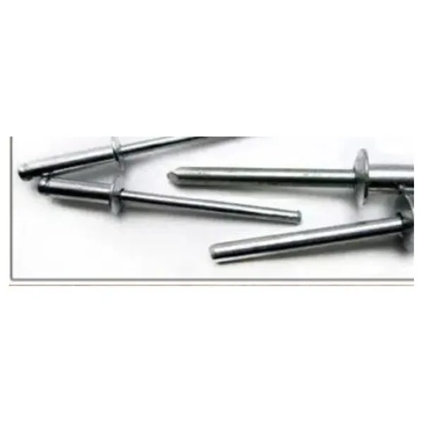 BUTTON HEAD STAINLESS STEEL RIVETS